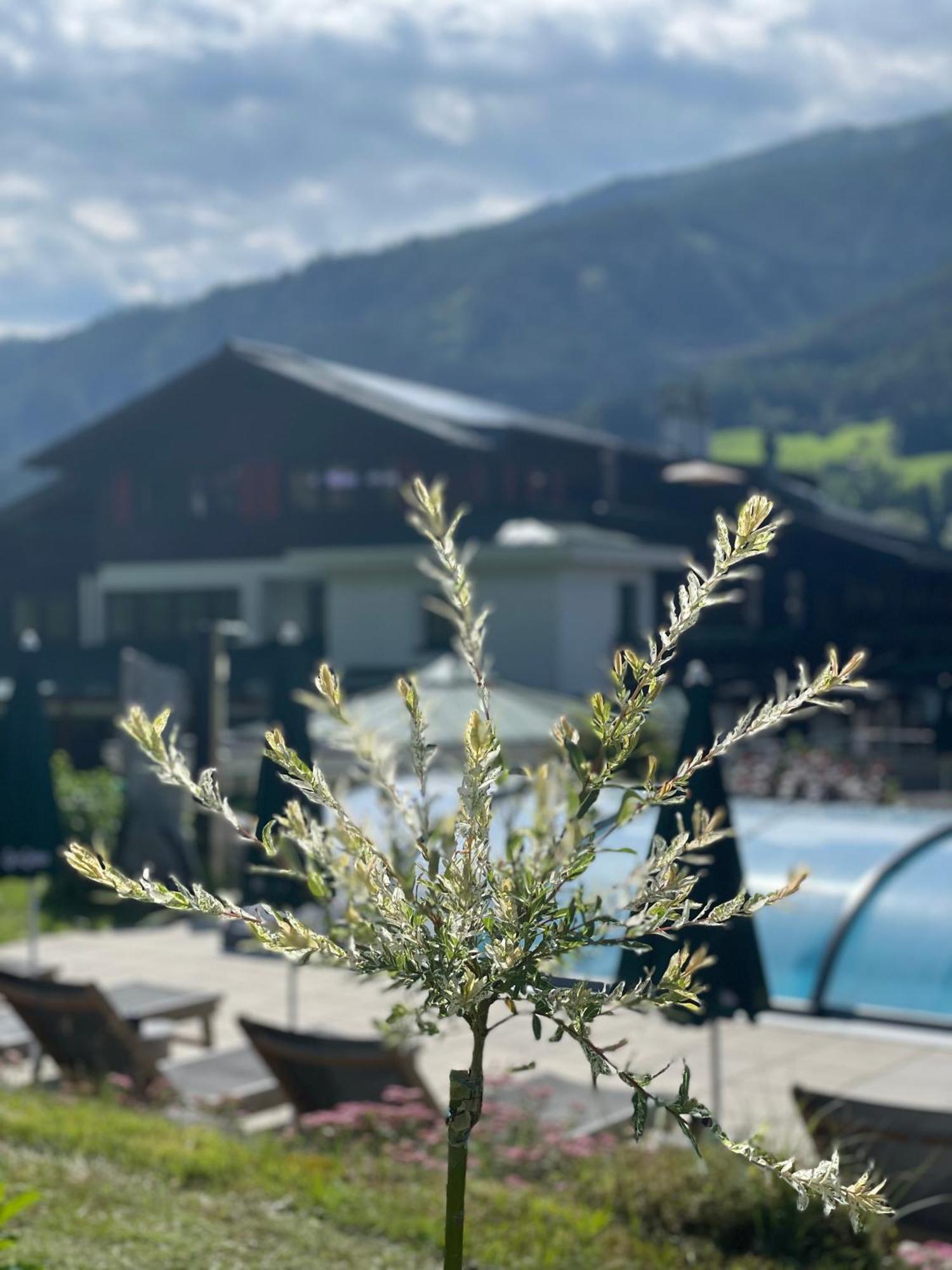Hotel Senningerbraeu Брамберг ам Вилдкогел Екстериор снимка